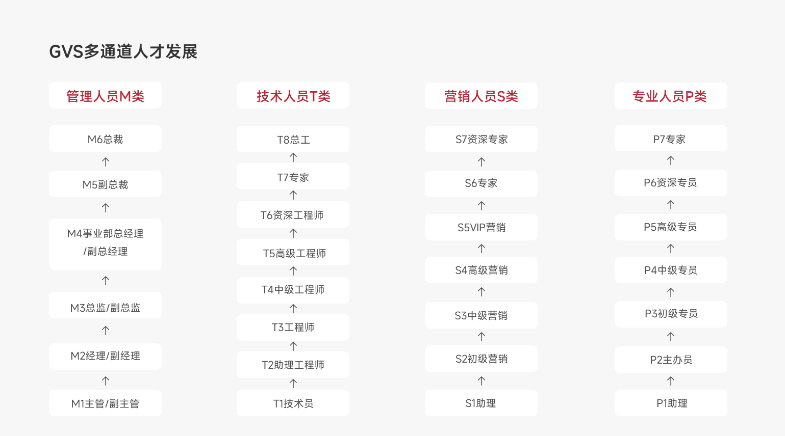 职业发展多通道